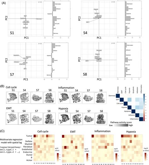 Spatial Analysis Variography 的图像结果