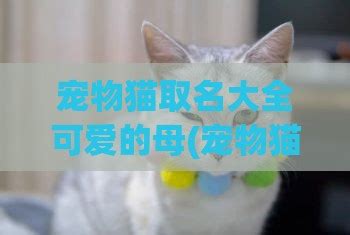小猫拼图图片,数字拼图图片,小猫图图片(第10页)_大山谷图库