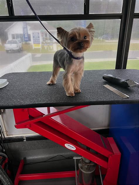 Online booking by GrooMore