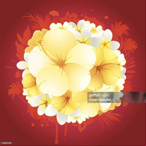 Image result for Composition of Flowers Tutorial