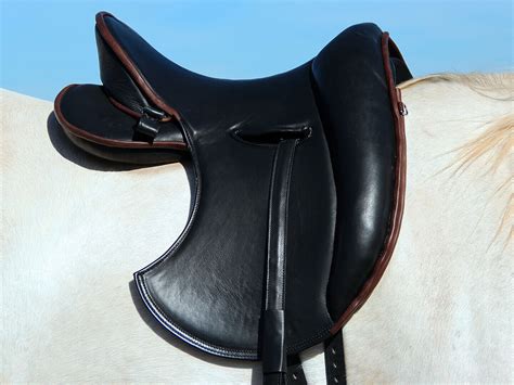 Experiences & Test Reports - Signum Sattelservice