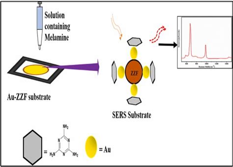 Prof. Sudip K. Pattanayek | Lab Members