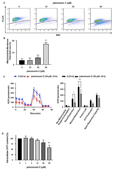 Petromurin C Induces Protective Autophagy and Apoptosis in FLT3-ITD ...
