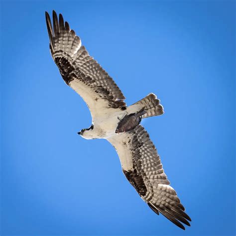 Bryce Eilenberg (@bryceephotos) • Instagram photos and videos