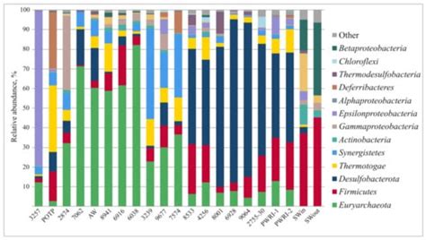 Microorganisms | Special Issue : Petroleum Microbiology