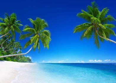 Image result for Beach Python Code