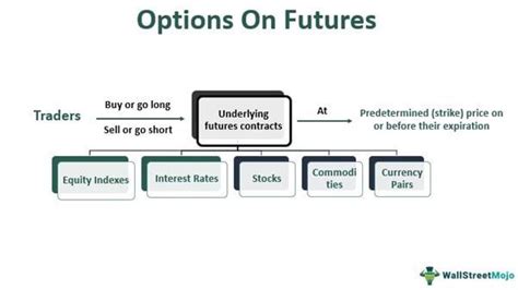 Futures Options 的图像结果
