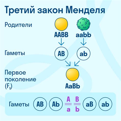 Законы Менделя | Биология, 11 класс