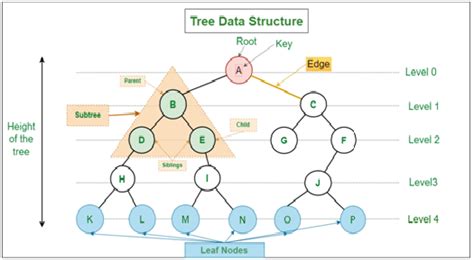 Image result for Data Structure in C Tree