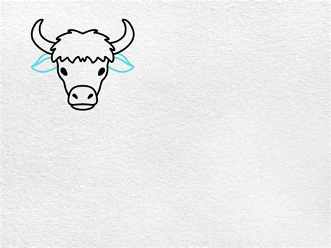 Yak Drawing - HelloArtsy