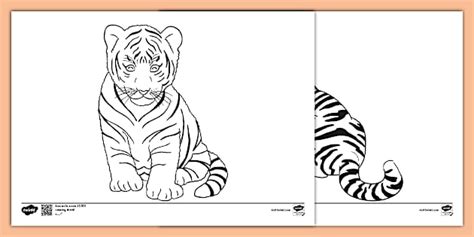 Baby Tiger Colouring Sheets | Primary Resources | Twinkl