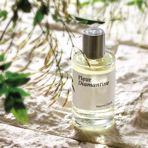 Maison Crivelli Fleur Diamantine Eau De Parfum 100ml For Unisex ...
