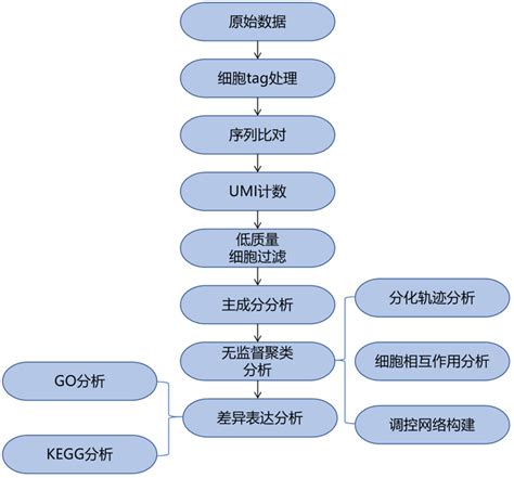 10x Genomics 单细胞转录组测序-广州表观生物科技有限公司