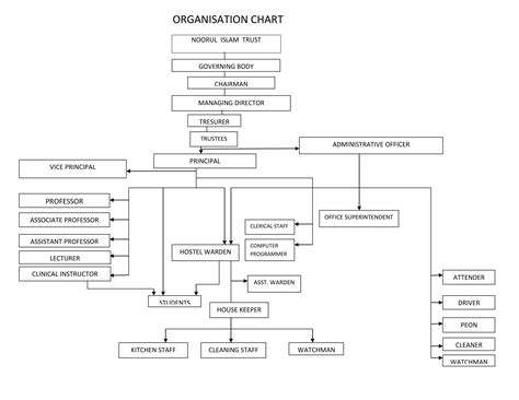 Organization Chart | Al-Azhar College of Pharmacy