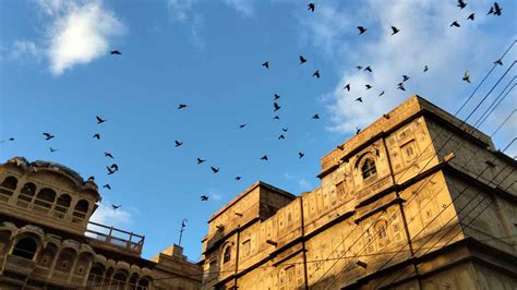 OPPO F31 Series emerges as a durable champion with military-grade ...