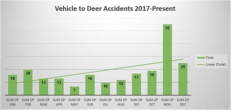 Watch out for deer on the road | Article | The United States Army