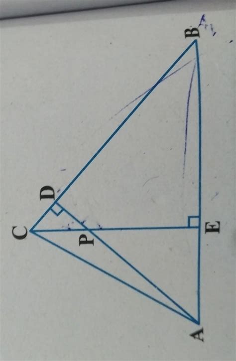 prove that triangle AEP is similar to Triangle ADB - Brainly.in