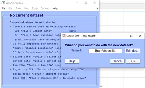 Image result for How to Manually Code in EEGLAB