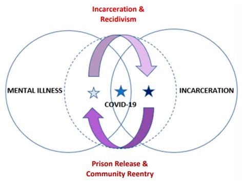 COVID-19, Mental Illness, and Incarceration in the United States: A Systematic Review, 2019–2021