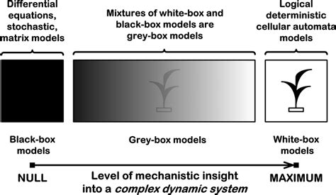 Image result for Mathematical Model of Dynamic Process