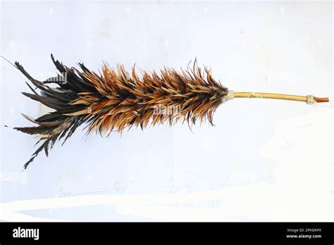 Using Feather Duster 的图像结果