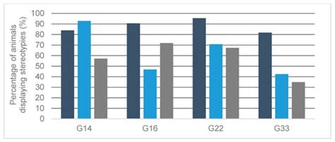 Stereotypic Behavior in Fattening Bulls