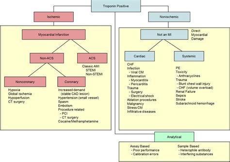 EM Didactic: Chasing Chest Pains - Risk Stratification and Non Specific Troponinemia