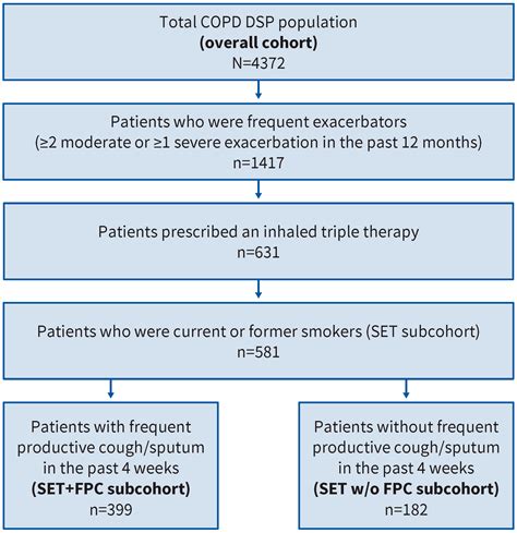 Clinical Burden of People with Symptomatic and Exacerbating COPD While ...