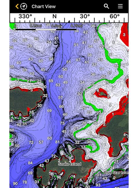 Image result for Fish Smart Map Hummingbird
