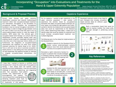 OTD Program Capstone Infographic 的图像结果