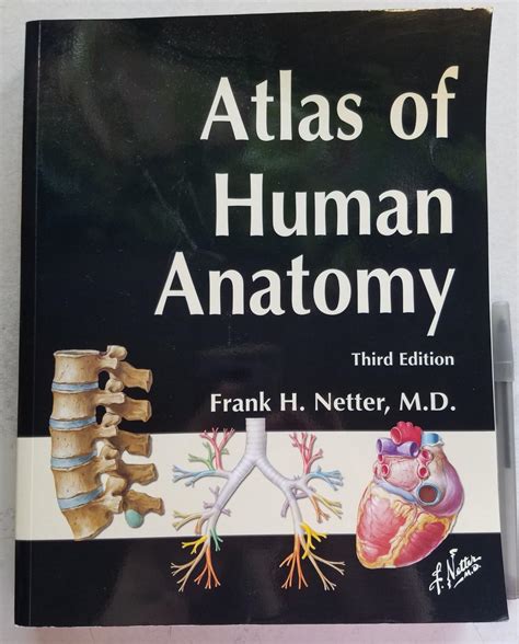 Atlas of Human Anatomy by Frank H. Netter, M.D.: Very Good Soft cover (2004) 3rd Edition | East ...