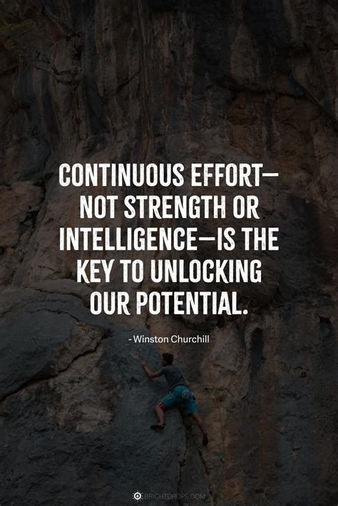 91 Perseverance Quotes on Why Giving It Your All is the Only Way ...