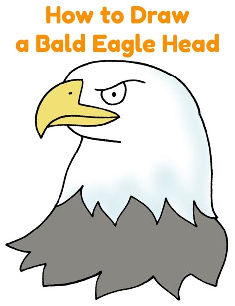 Eagle Draw How Bald 的图像结果