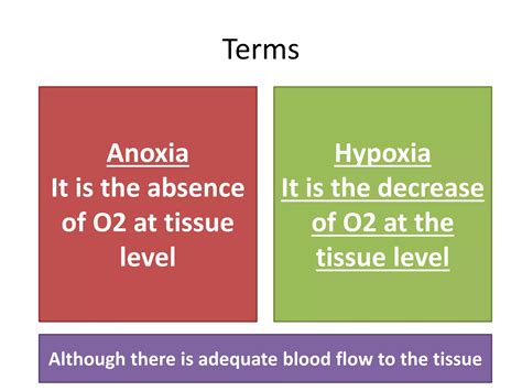 Anoxia Vs Hypoxia