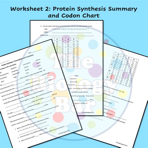 Protein Synthesis Worksheet 的图像结果