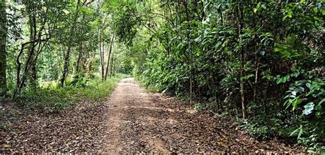 Kep National Park - 2021 What to Know Before You Go (with Photos ...