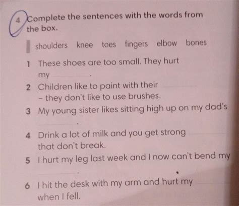 Complete The Sentences Using The Words In The Box - EDUCA