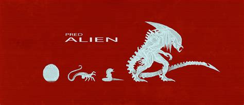 Predalien Life Cycle by LucienFreiheit on DeviantArt