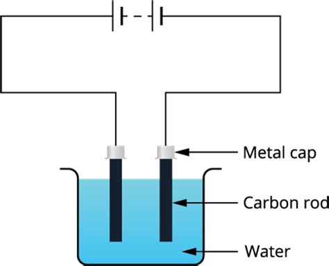 NCERT Exemplar XVI — task. Science CBSE, Class 8.