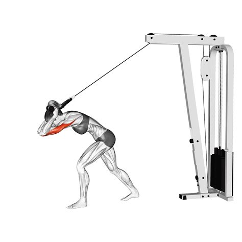 Lat Pulldown Machine Exercises: Attachments and Alternatives Explained ...