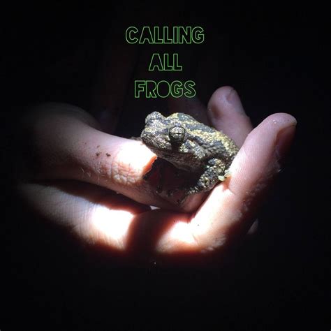 Calling All Frogs!, 1068 Howell School Road, Bear, DE, United States ...