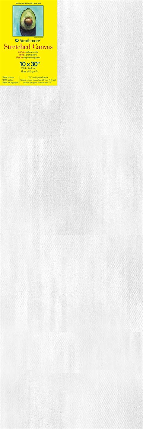 Strathmore 300 Series Gallery Stretch Canvas-10"X30" | Michaels