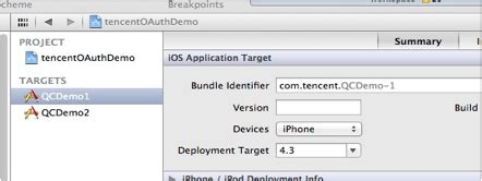iOS SDK 的图像结果