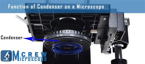 Image result for Condenser Microscope Function