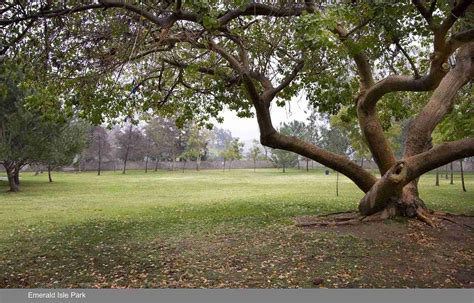 History and Photos – The Chevy Chase History Archive - Chevy Chase Estates Association