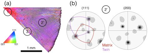 Texture Evolution of a Single Crystal Cu-8% at. Al Subjected to the ...