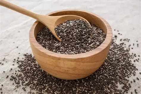 manfaat chia seed bagi ibu hamil