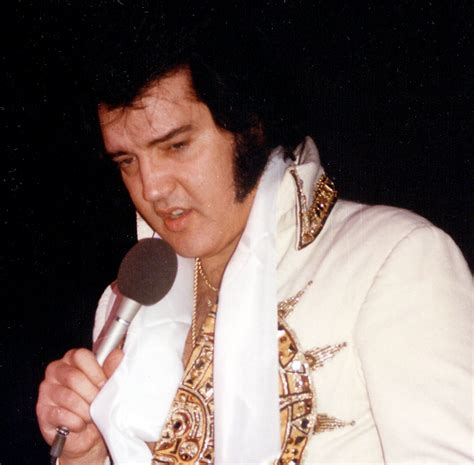 elvis presley | Richard Nilsen