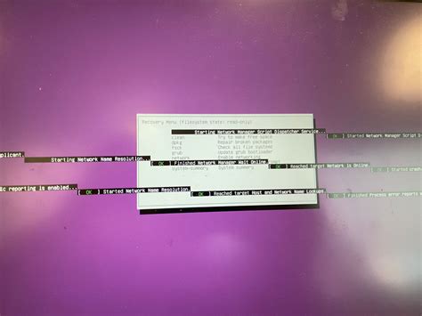 Ubuntu shows a black screen which only has a blinking cursor