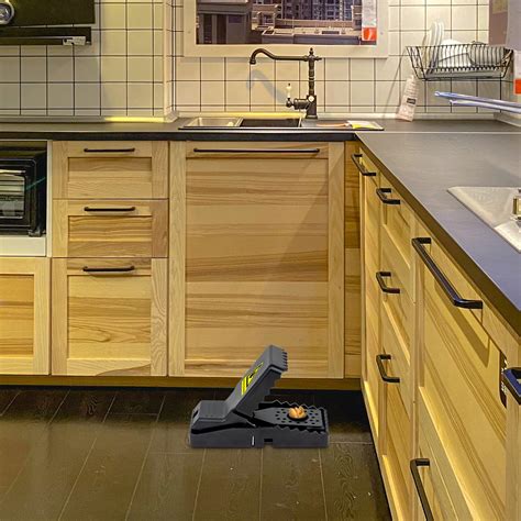 Efficient Mouse Control with XPEST Stainless Steel Traps